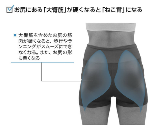 ヒップアップ・小尻SP（骨盤矯正含む） - 長野市川中島町の姿勢改善