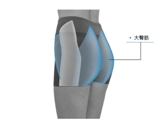 お尻が痛いのは骨盤体操で解消 長野市の整体院 姿勢 猫背改善 骨盤矯正 カイロプラクティック伊東